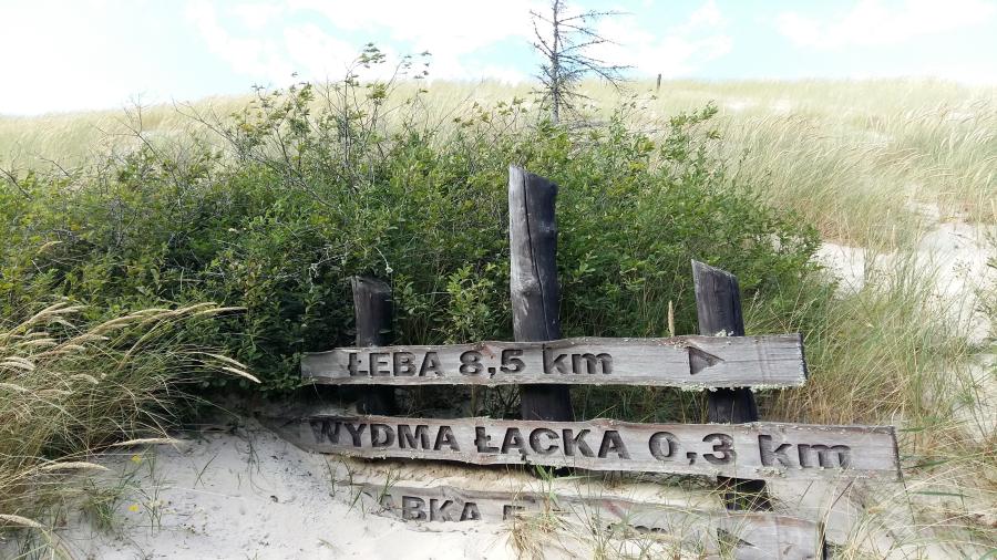 wydmy leba.jpg