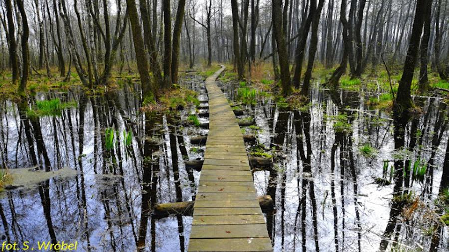 Poleski Park Narodowy